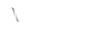 pioneer-araya-logo